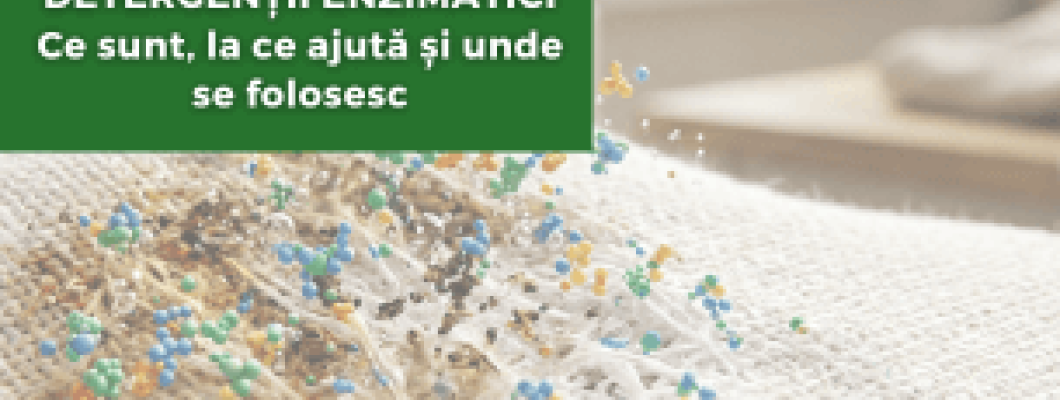 Detergenții enzimatici - Ce sunt, la ce ajută și unde se folosesc