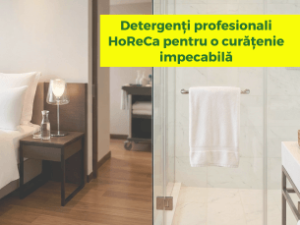 Detergenți profesionali HoReCa pentru o curățenie impecabilă