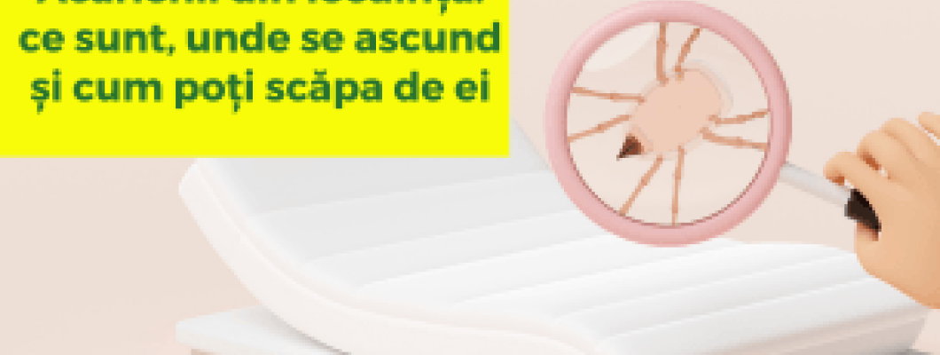 Acarienii din locuință: ce sunt, unde se ascund și cum poți scăpa de ei
