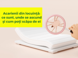 Acarienii din locuință: ce sunt, unde se ascund și cum poți scăpa de ei