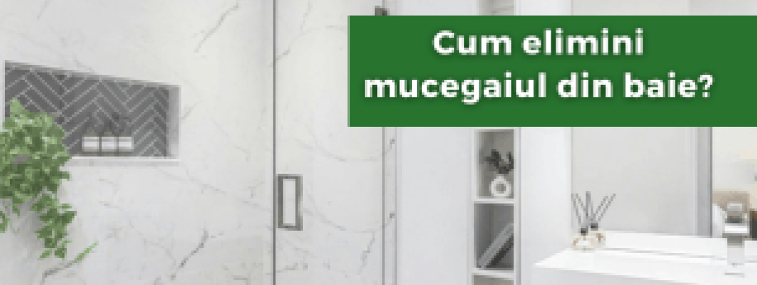 Cum elimini mucegaiul din baie?