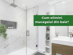 Cum elimini mucegaiul din baie?