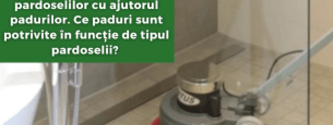 Recondiționarea pardoselilor cu ajutorul padurilor. Ce paduri sunt potrivite în funcție de tipul pardoselii?