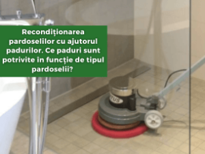 Recondiționarea pardoselilor cu ajutorul padurilor. Ce paduri sunt potrivite în funcție de tipul pardoselii?