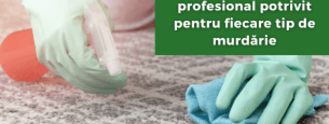 Cum alegi detergentul profesional potrivit pentru fiecare tip de murdărie
